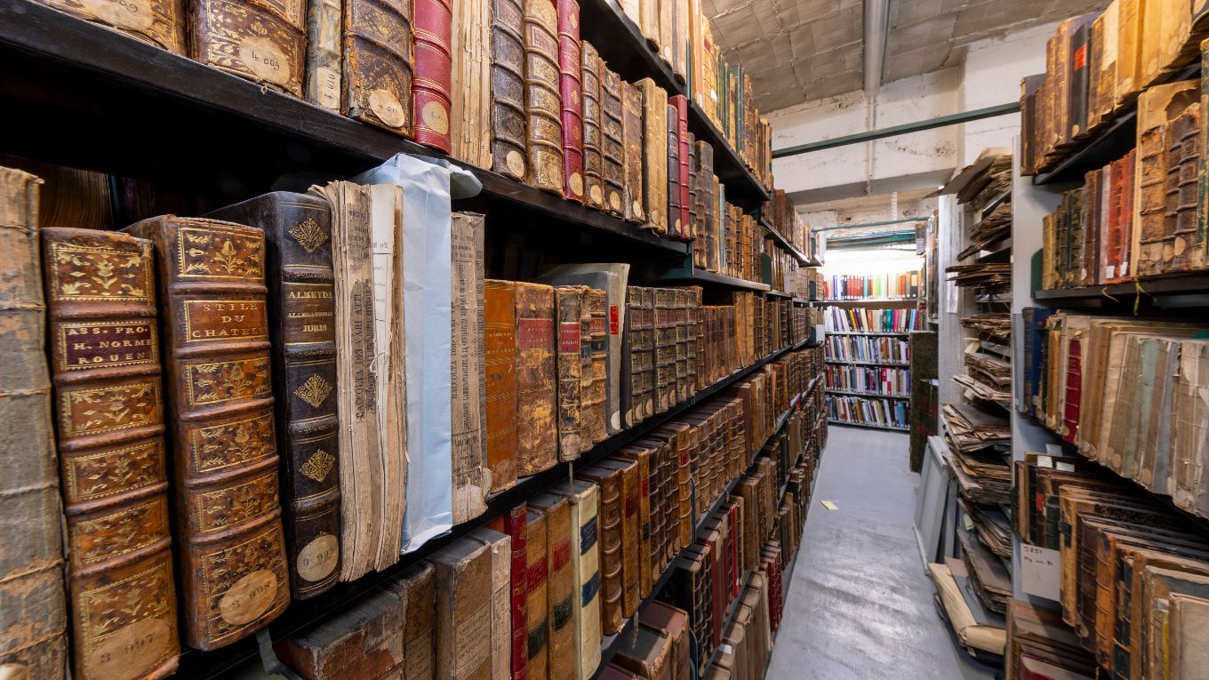 Les collections de Fels d&eacute;m&eacute;nagent !